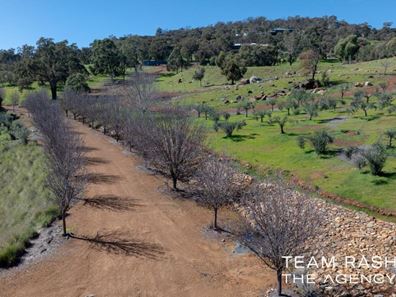 5 Weir Road, Baskerville WA 6056