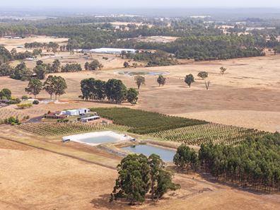 25 Richmond Street, Ringbark WA 6258