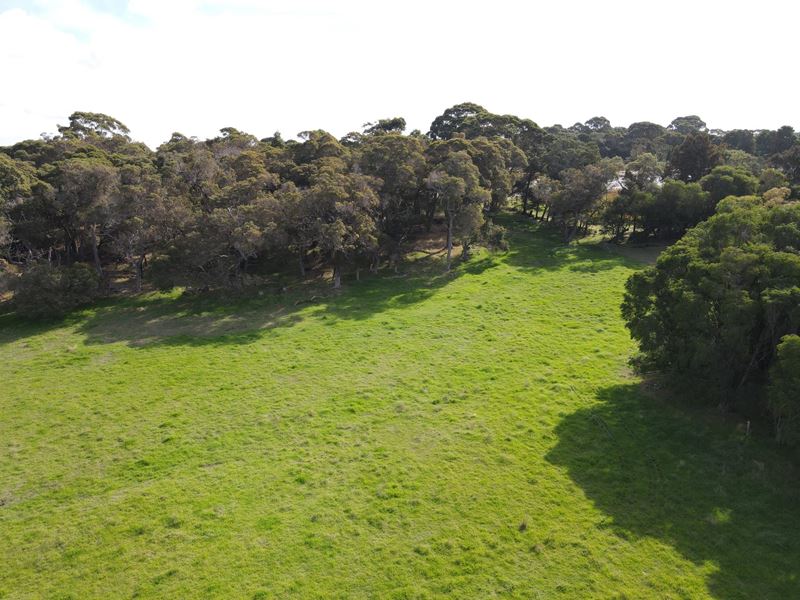 Lot 134, 238 Link Road, Marbelup WA 6330