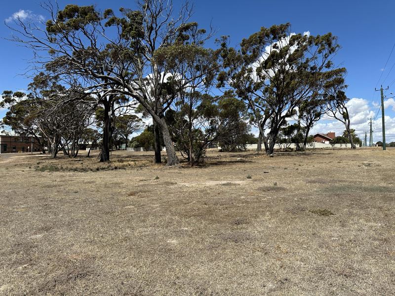 2 Garnett Road, Gnowangerup WA 6335