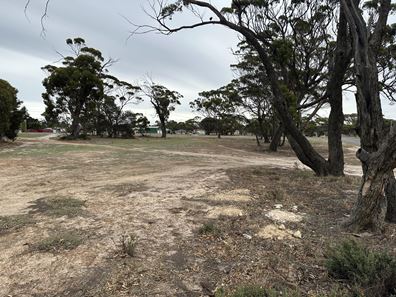 2 Garnett Road, Gnowangerup WA 6335