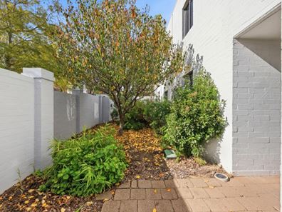 5/571 William Street, Mount Lawley WA 6050