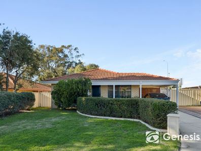 16 Hemmings Close, Clarkson WA 6030