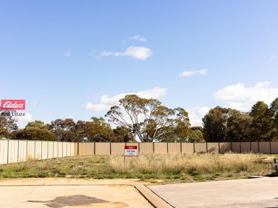 13 Carrington Way, Merredin WA 6415