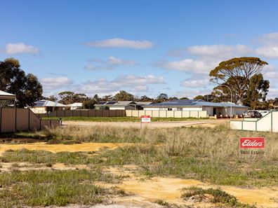 13 Carrington Way, Merredin WA 6415