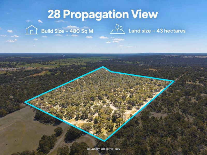 28 Propagation View, Muchea