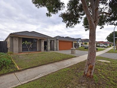 39 Thorold Avenue, Ellenbrook WA 6069