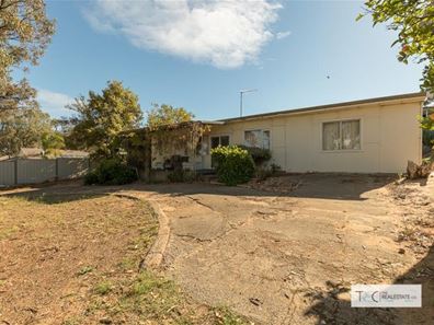 58 Cobblers Street, Falcon WA 6210