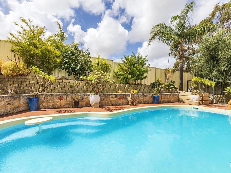 7 Robertson Place, Bibra Lake