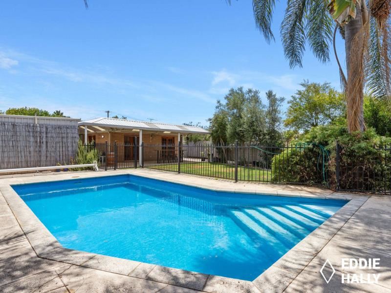 3 Tattler Place, Yangebup WA 6164