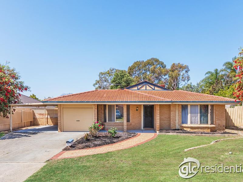 24 Bulrush Drive, Bibra Lake WA 6163