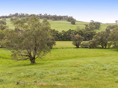 Lot 107 Chittering Road, Chittering WA 6084