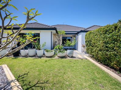 10 Woolly Road, Banksia Grove WA 6031