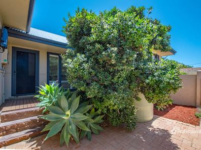 45 Whitfield Street, Beachlands WA 6530