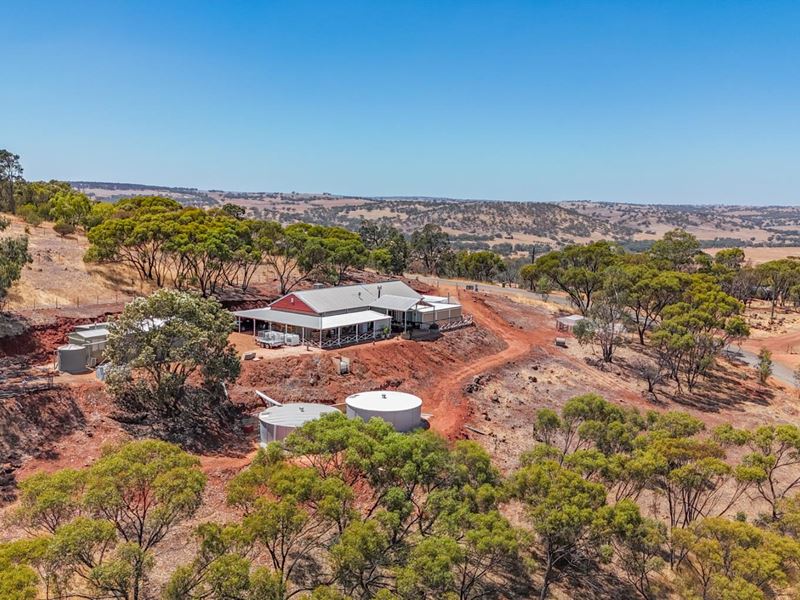 206 Timber Creek Crescent, Coondle