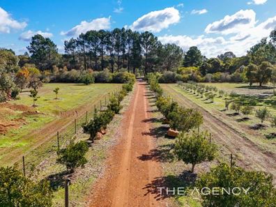 61 Grandis Road, Morangup WA 6083