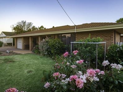 3 Lansdell Street, Mukinbudin WA 6479
