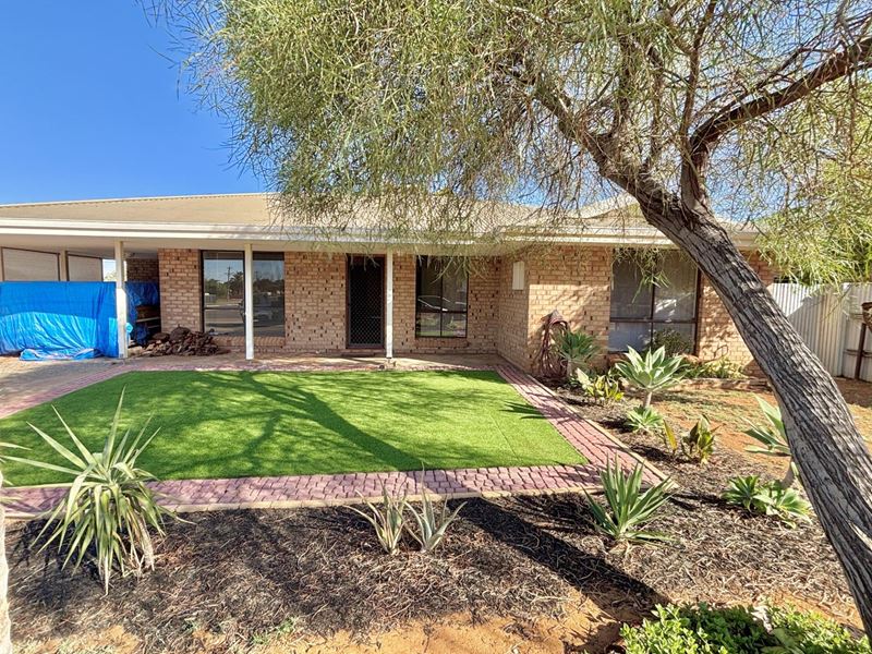1 Sheed Place, Hannans WA 6430