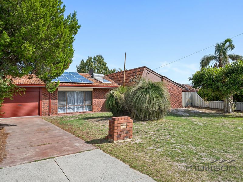 19 Collins Road, Willetton WA 6155