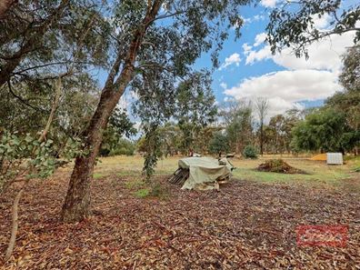 12 Cheetaning  Street, Wandering WA 6308
