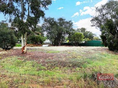 12 Cheetaning  Street, Wandering WA 6308