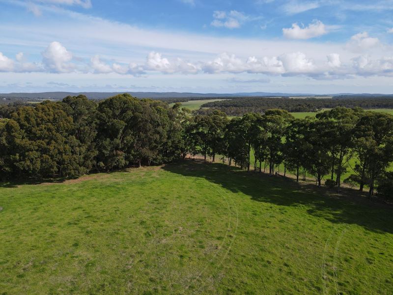 Lot 119, 238 Link Road, Marbelup WA 6330