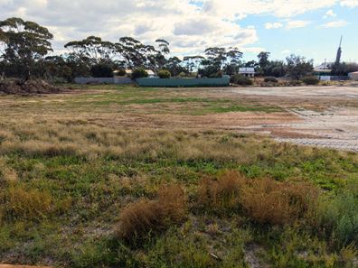 Lot 210 Station Street, Doodlakine WA 6411