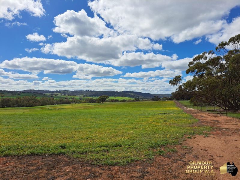 221 Old Coach Road, Mokine