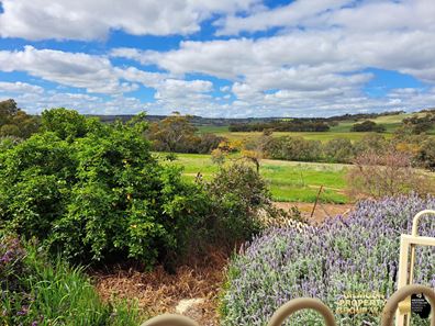 221 Old Coach Road, Mokine WA 6401
