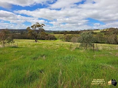 221 Old Coach Road, Mokine WA 6401