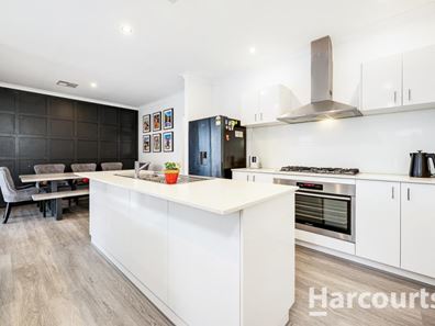 16 Azolla Street, Banksia Grove WA 6031