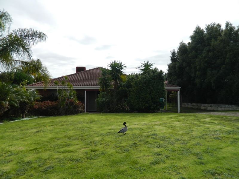 3 O'Reilly Court, Jane Brook WA 6056
