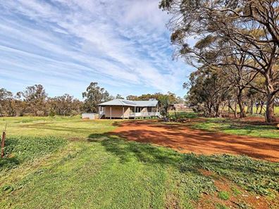 58 Palmer Street, Narrogin WA 6312