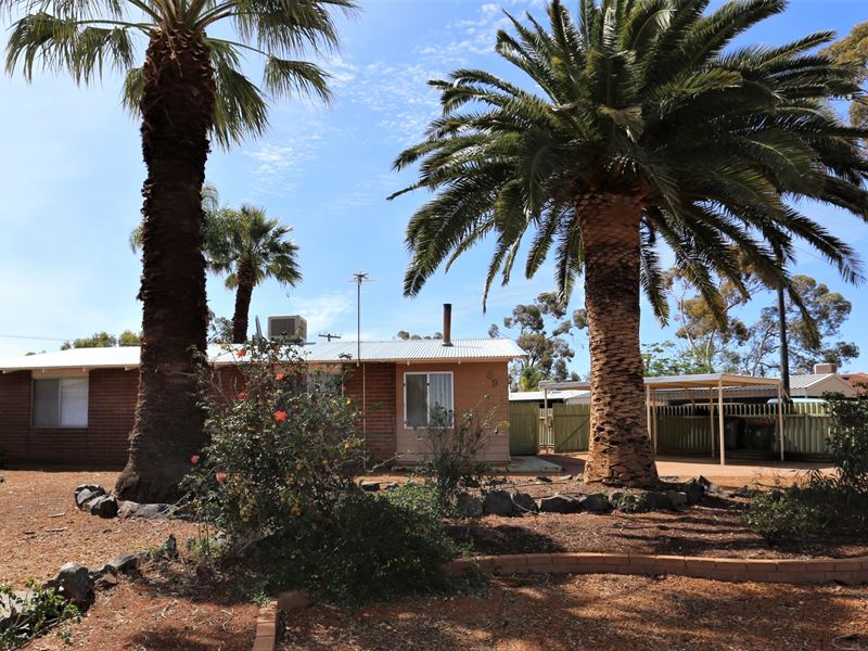 59 Mallee Drv, Kambalda West