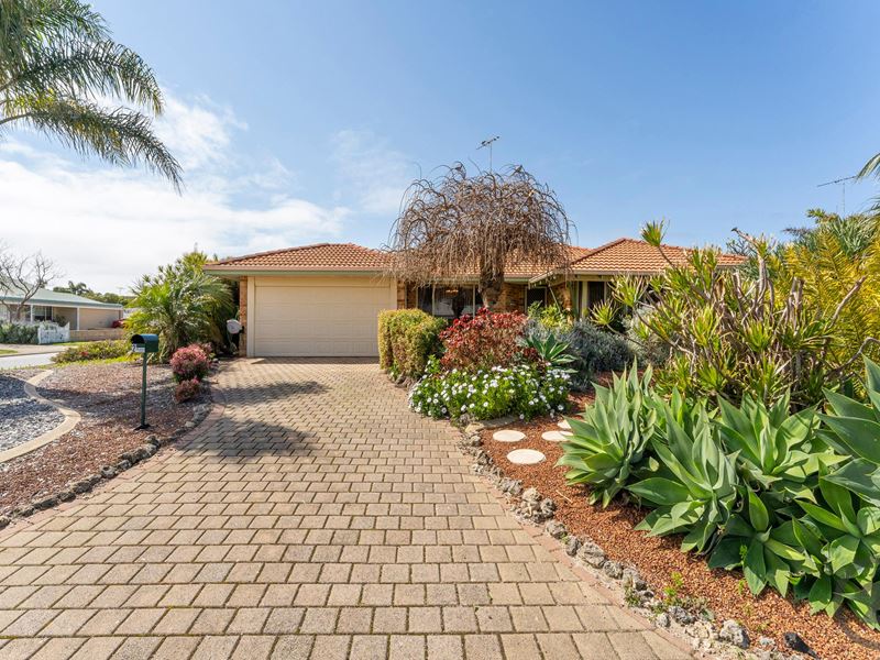 2 Castilloa Court, Halls Head