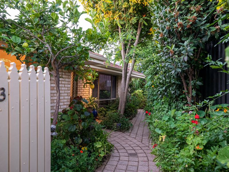 3/23 Helmsley Street, Scarborough