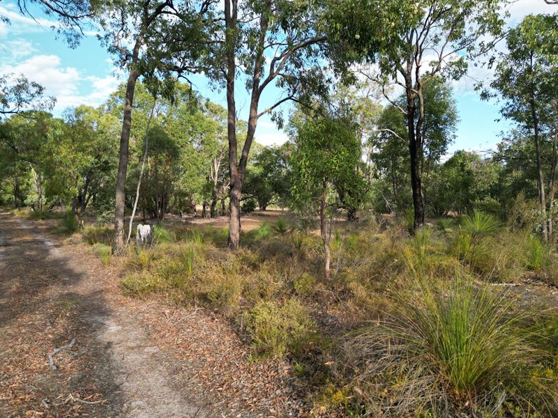 204 Polinelli Road, Lower Chittering