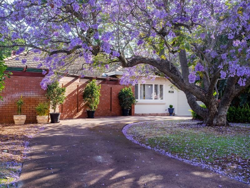 345 Salvado Road, Floreat