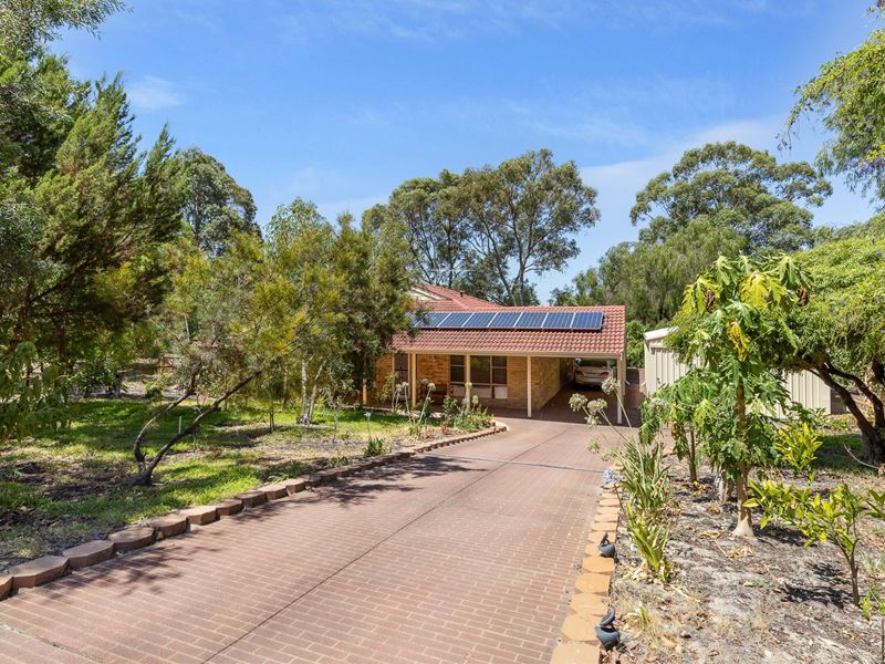 17 Blacksmith Drive, Wellard WA 6170