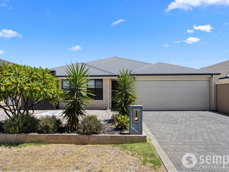 19 Packer Rise, Hammond Park