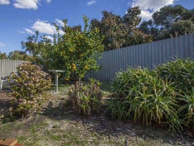 39/ Cotton   Crescent, Bull Creek WA 6149