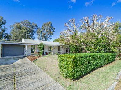 56 Dudley Street, Midland WA 6056