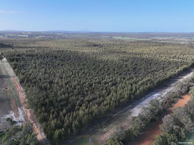 Lot 5809 Takenup Road, Napier WA 6330