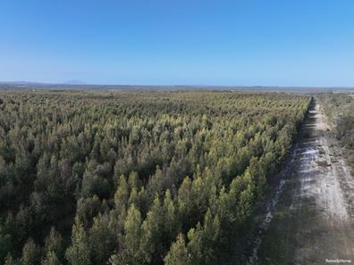 Lot 5809 Takenup Road, Napier WA 6330