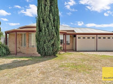 15 Truscott Elbow, Alexander Heights WA 6064