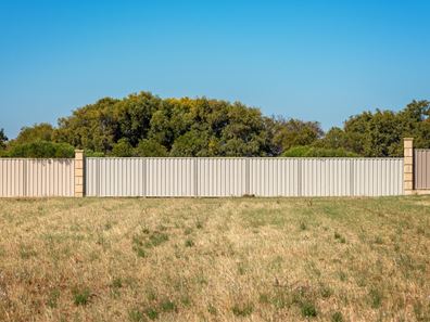31 Eurithmic Link, Wandina WA 6530