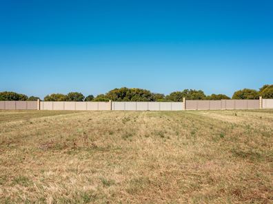 31 Eurithmic Link, Wandina WA 6530