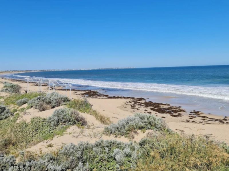 6 Hollister Street, Madora Bay WA 6210