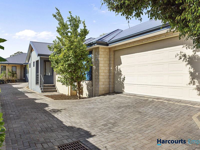 54B Ewen Street, Scarborough