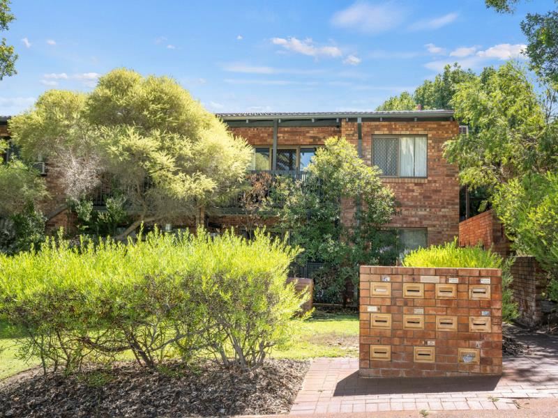 8/13 Storthes Street, Mount Lawley WA 6050